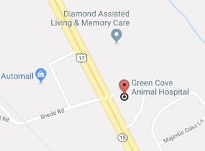 A map showing the location of Green Cove Animal Hospital